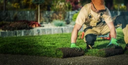 Landscape working laying sod on a lawn